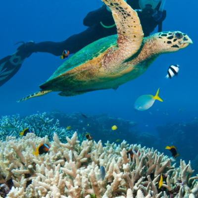 Blue Hole diving